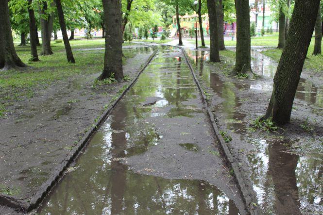 Новини Козятина - фото з Козятин у фото: квіти, калюжі, парасольки та коти