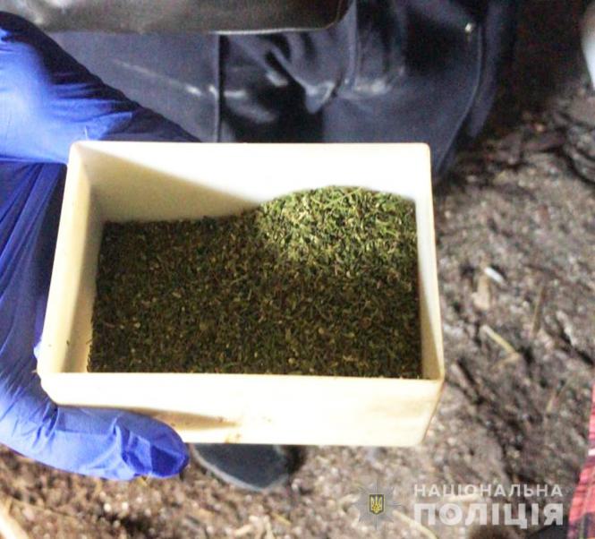 Новини Житомира - фото з Наркотики виявили у чотирьох жителів Житомирщини: найбільше - у мешканця Попільнянщини