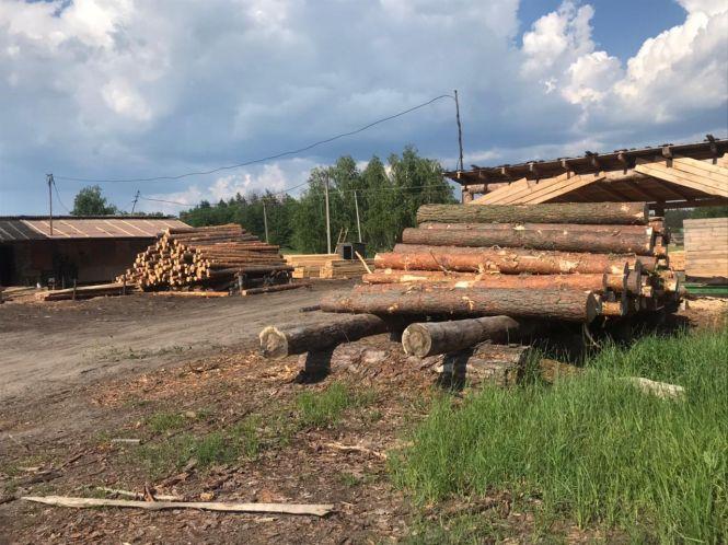 Новини Житомира - фото з У с. Горинь на Малинщині виявили більше 350 соснових колод невідомого походження