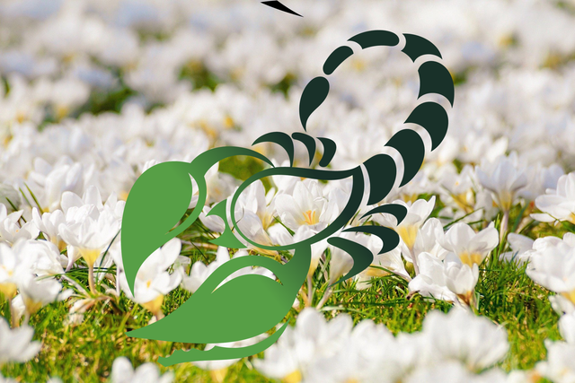 Новини Вінниці - фото з Гороскоп на цей тиждень 14 – 20 червня 2021: прогноз для всіх знаків Зодіаку Гороскоп на цей тиждень 14 – 20 червня 2021: прогноз для всіх знаків Зодіаку - фото 449739