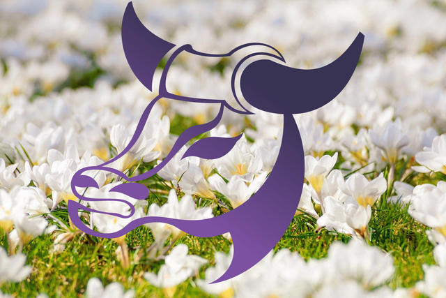 Новини Вінниці - фото з Гороскоп на цей тиждень 14 – 20 червня 2021: прогноз для всіх знаків Зодіаку Гороскоп на цей тиждень 14 – 20 червня 2021: прогноз для всіх знаків Зодіаку - фото 449738