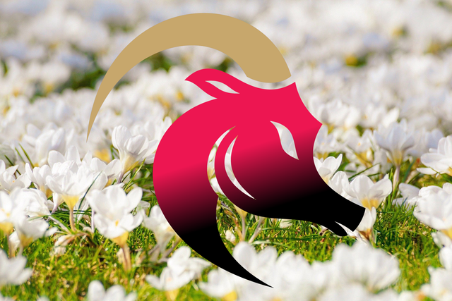 Новини Вінниці - фото з Гороскоп на цей тиждень 14 – 20 червня 2021: прогноз для всіх знаків Зодіаку Гороскоп на цей тиждень 14 – 20 червня 2021: прогноз для всіх знаків Зодіаку - фото 449736