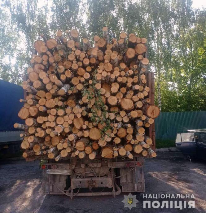 Новини Житомира - фото з Незаконний вивіз деревини не припиняється: цього разу автомобіль з колодами берези без документів зупинили у Новоград-Волинському районі