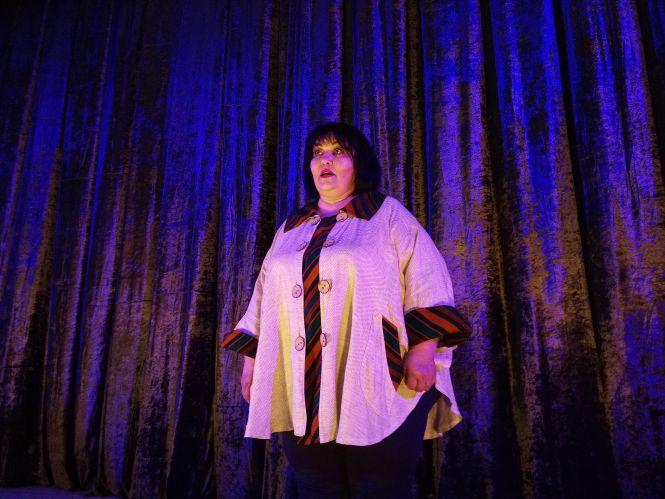 Новини Козятина - фото з «Овація» зібрала повний зал