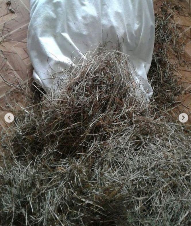 Новини Вінниці - фото з Операція «Реставрація». Вінничанка шиє унікальні крісла з людських історій та досвіду