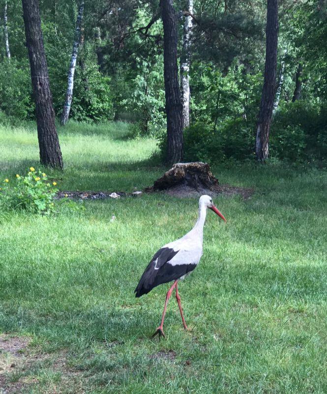 Новини Хмельницького - фото з Відпочиваємо на Хмельниччині. Як можна провести вікенд на Голубих озерах