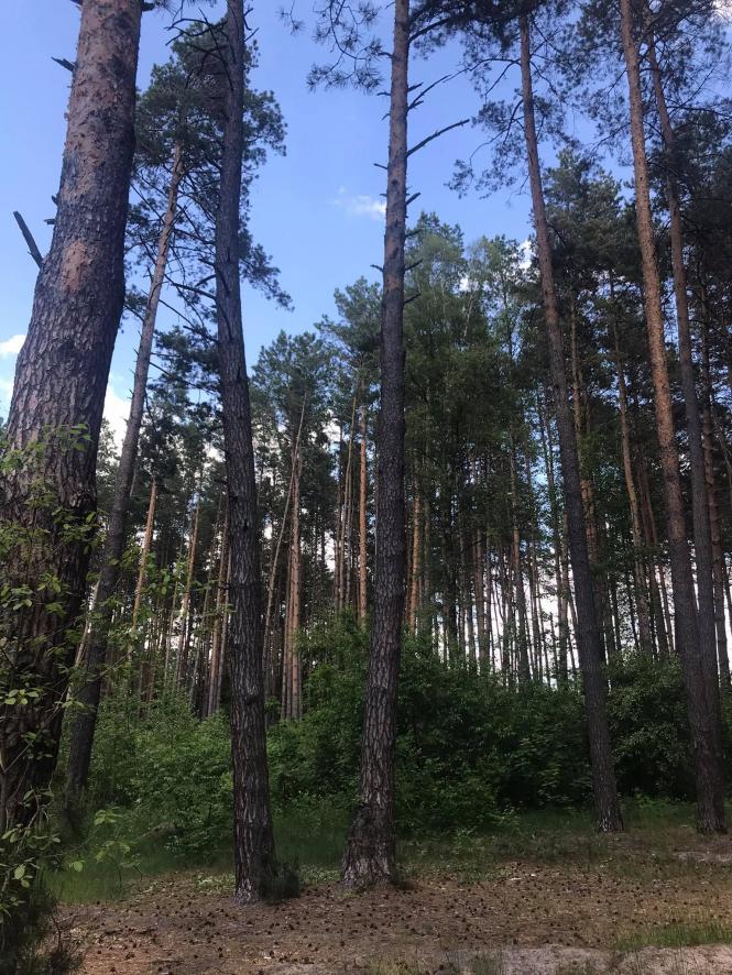 Новини Хмельницького - фото з Відпочиваємо на Хмельниччині. Як можна провести вікенд на Голубих озерах Нет описания.