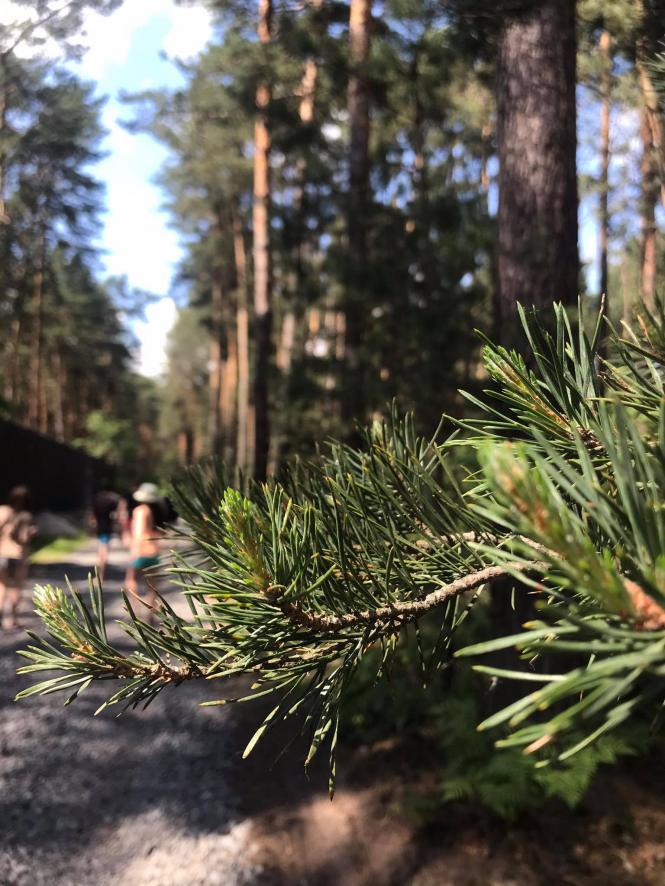 Новини Хмельницького - фото з Відпочиваємо на Хмельниччині. Як можна провести вікенд на Голубих озерах Нет описания.