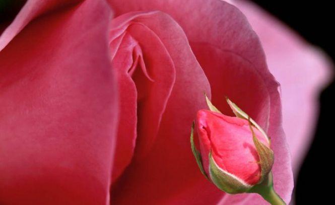 Новини Вінниці - фото з ВІН І ВОНА: Про мастурбацію і клітор, або міфи про секс, у які ви досі вірите