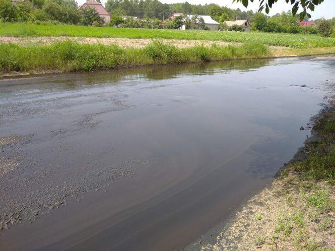 Новини Вінниці - фото з «На вигляд рідина чорна, густа і смердюча…» Чим залило трасу Тульчин-Ладижин? (ОНОВЛЕНО)