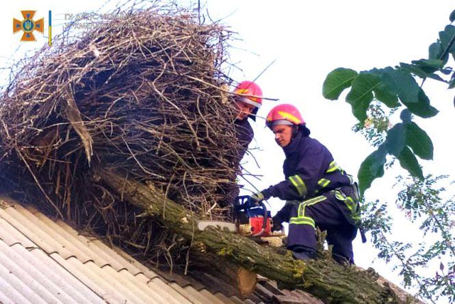 Новини Хмельницького - фото з У Хмельницькому районі надзвичайники рятували лелек