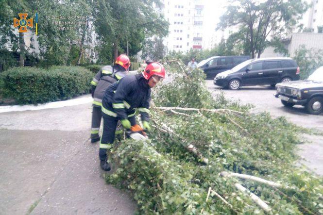 Новини Хмельницького - фото з Шквальний вітер і повалені дерева. Наслідки негоди на Хмельниччині