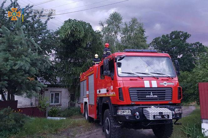 Новини Хмельницького - фото з Шквальний вітер і повалені дерева. Наслідки негоди на Хмельниччині