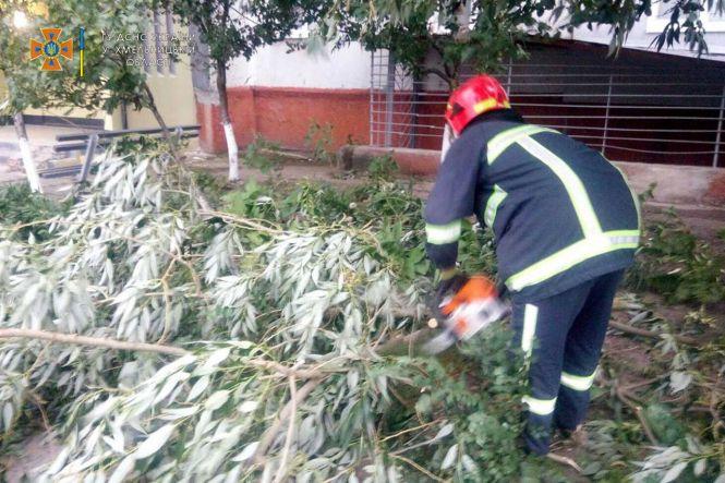 Новини Хмельницького - фото з Шквальний вітер і повалені дерева. Наслідки негоди на Хмельниччині