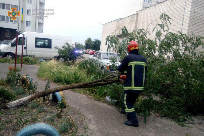 Новини Хмельницького - фото з Шквальний вітер і повалені дерева. Наслідки негоди на Хмельниччині