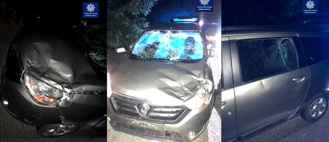 Новини Вінниці - фото з Кров на асфальті та потрощене авто. Під Вінницею мінівен збив лося