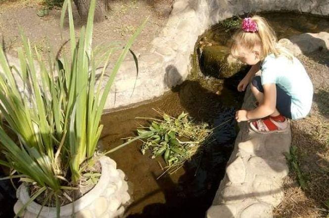 Новини Вінниці - фото з Івана Купала в Подільському зоопарку. Афіша святкування