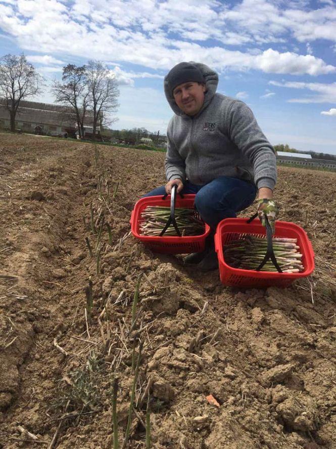 Новини Вінниці - фото з Подарував дружині лавандове поле, для себе залишив спаржу, а тюльпани зачекають