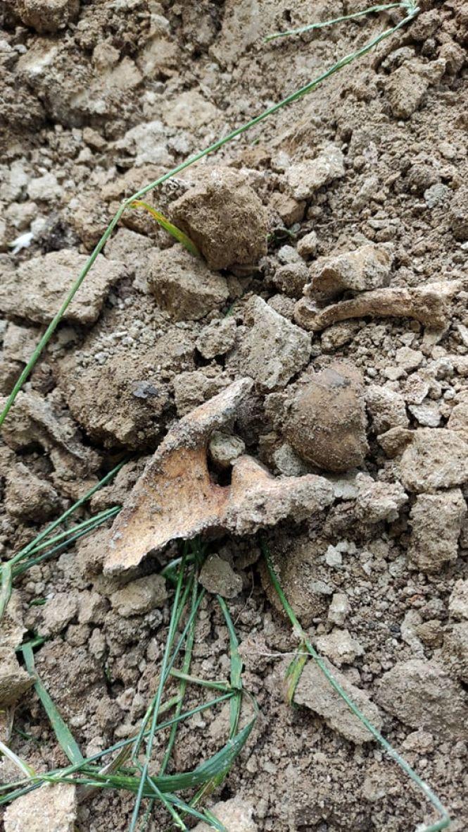 Новини Вінниці - фото з Копали під кабель, знайшли кістки. Біля нічного клубу «Курсаль» робітники розкопали поховання