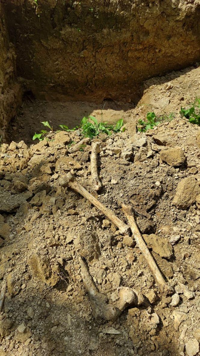 Новини Вінниці - фото з Копали під кабель, знайшли кістки. Біля нічного клубу «Курсаль» робітники розкопали поховання