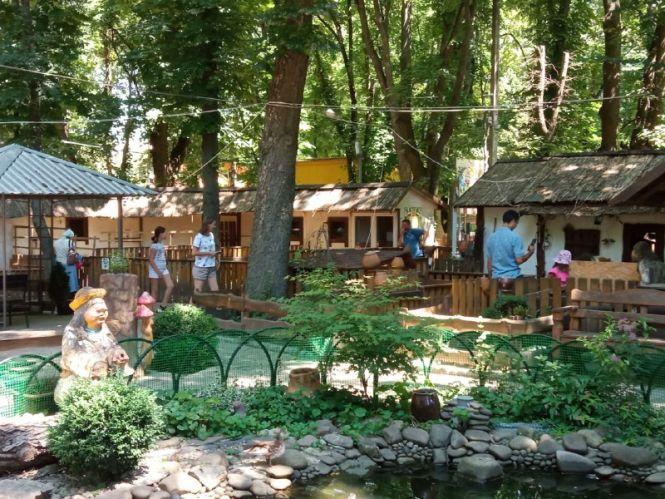 Новини Вінниці - фото з Сурикати, зелені мавпочки й валабі. Хто ще зараз мешкає у вінницькому зоодворику?