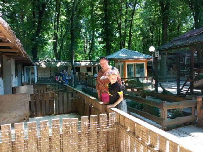 Новини Вінниці - фото з Сурикати, зелені мавпочки й валабі. Хто ще зараз мешкає у вінницькому зоодворику?