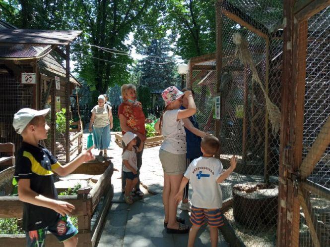 Новини Вінниці - фото з Сурикати, зелені мавпочки й валабі. Хто ще зараз мешкає у вінницькому зоодворику?