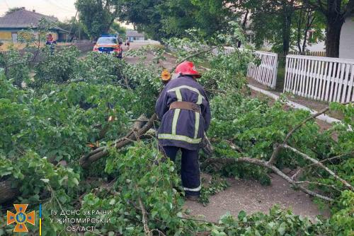 Новини Житомира - фото з У Житомирі та області рятувальники прибирали повалені дерева і конструкції 003.jpg