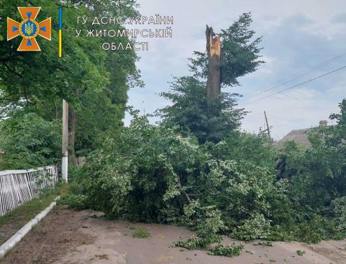 Новини Житомира - фото з У Житомирі та області рятувальники прибирали повалені дерева і конструкції 001.jpg