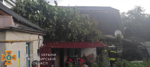 Новини Житомира - фото з У Житомирі та області рятувальники прибирали повалені дерева і конструкції 005.jpg