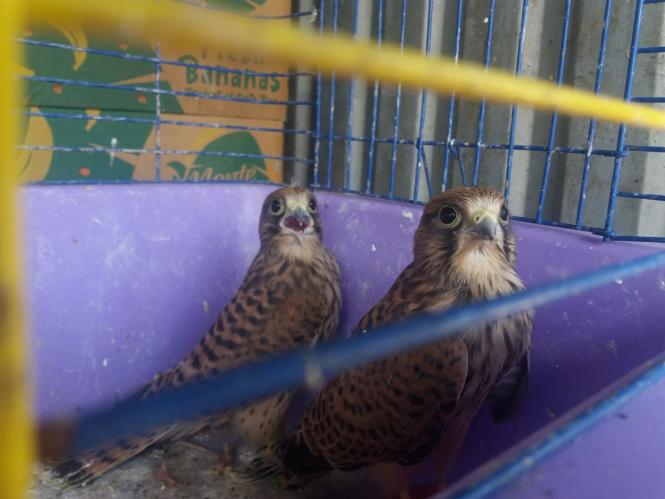 Новини Хмельницького - фото з Репортаж із зоокутка Пальохіна, в якому з'явилися нові тварини (ФОТО)