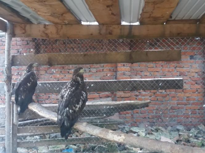 Новини Хмельницького - фото з Репортаж із зоокутка Пальохіна, в якому з'явилися нові тварини (ФОТО)