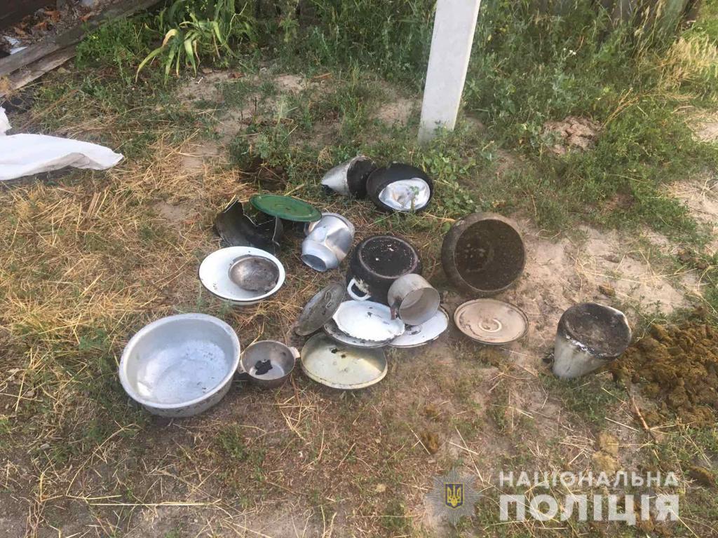 Новини Житомира - фото з Вбив одного і тяжко травмував другого: у селі на Радомишльщині чоловік влаштував дебош з смертельними наслідками