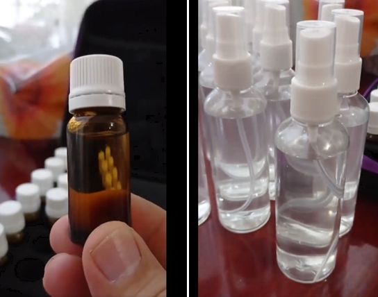 Новини Вінниці - фото з Пробну партію лавандової олії виготовили в Ладижині. Пропонують вирощувати лаванду