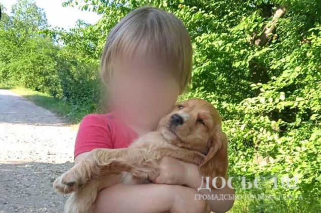 Новини Тернополя - фото з Сиділа в заростях біля дороги за 2 км від села: поліцейські серед ночі шукали 2-річну дитину