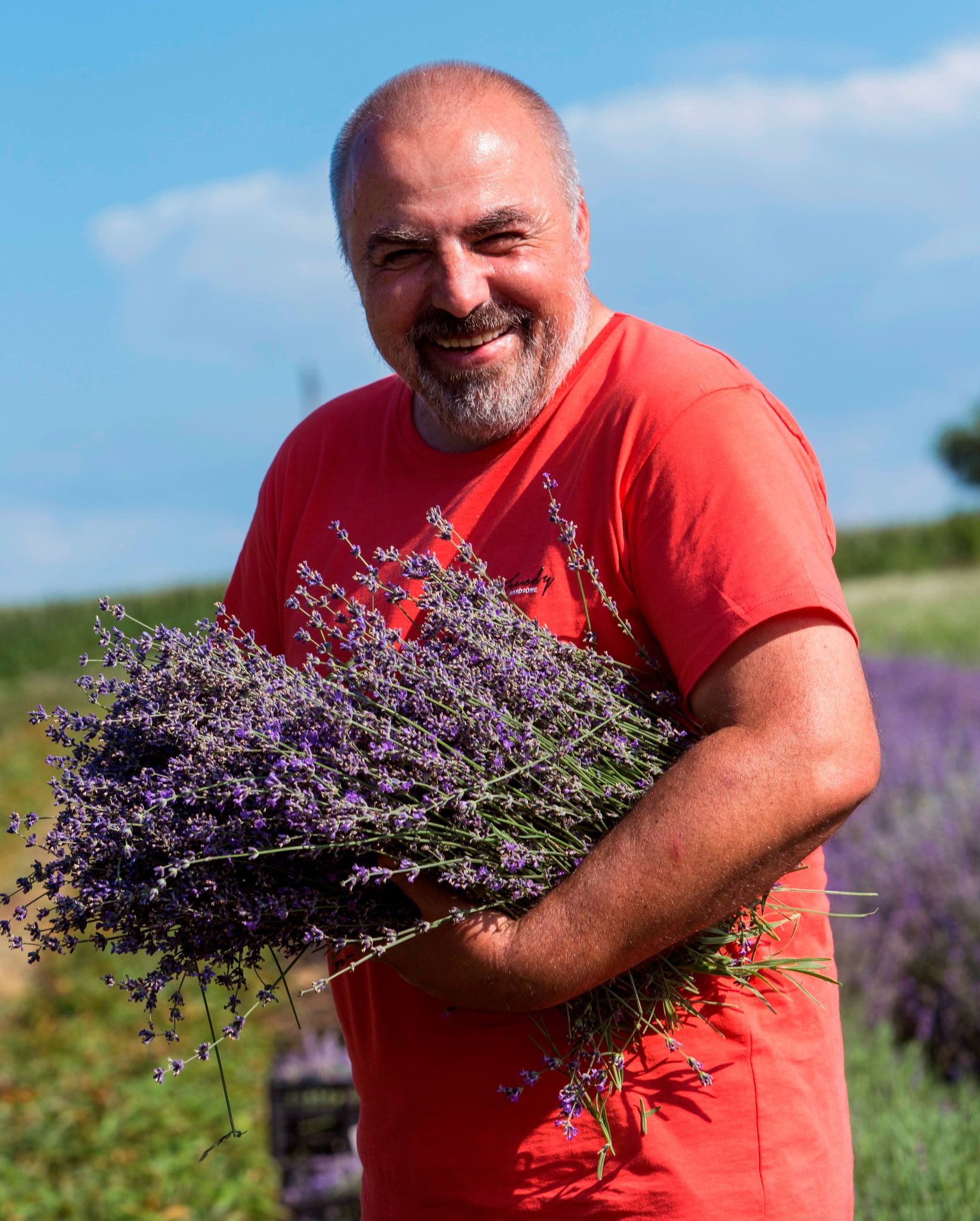 Новини Вінниці - фото з Пробну партію лавандової олії виготовили в Ладижині. Пропонують вирощувати лаванду
