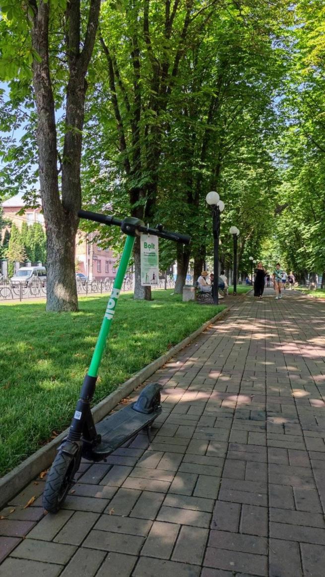 На зображенні може бути: дерево та вулиця