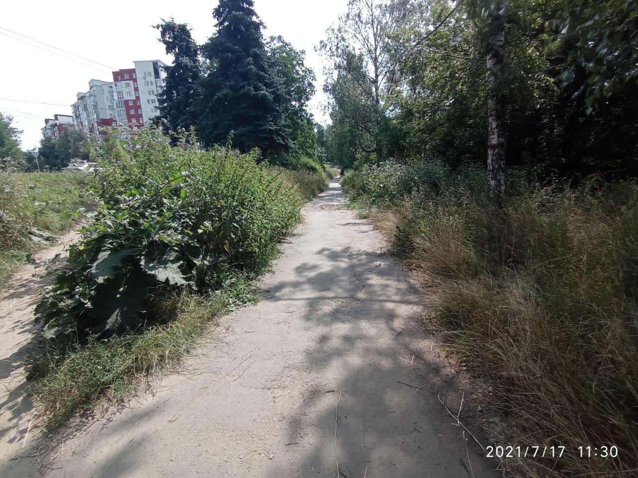 Новини Тернополя - фото з "Ми хочемо гарну зелену зону, а не смітник": тернополяни збирають підписи, щоб облаштувати сквер на Злуки