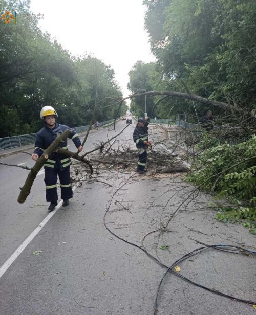 Новини Житомира - фото з У вихідні рятувальники діставали потопельника та зрізали повалені дерева PSX_20210718_113814.jpg
