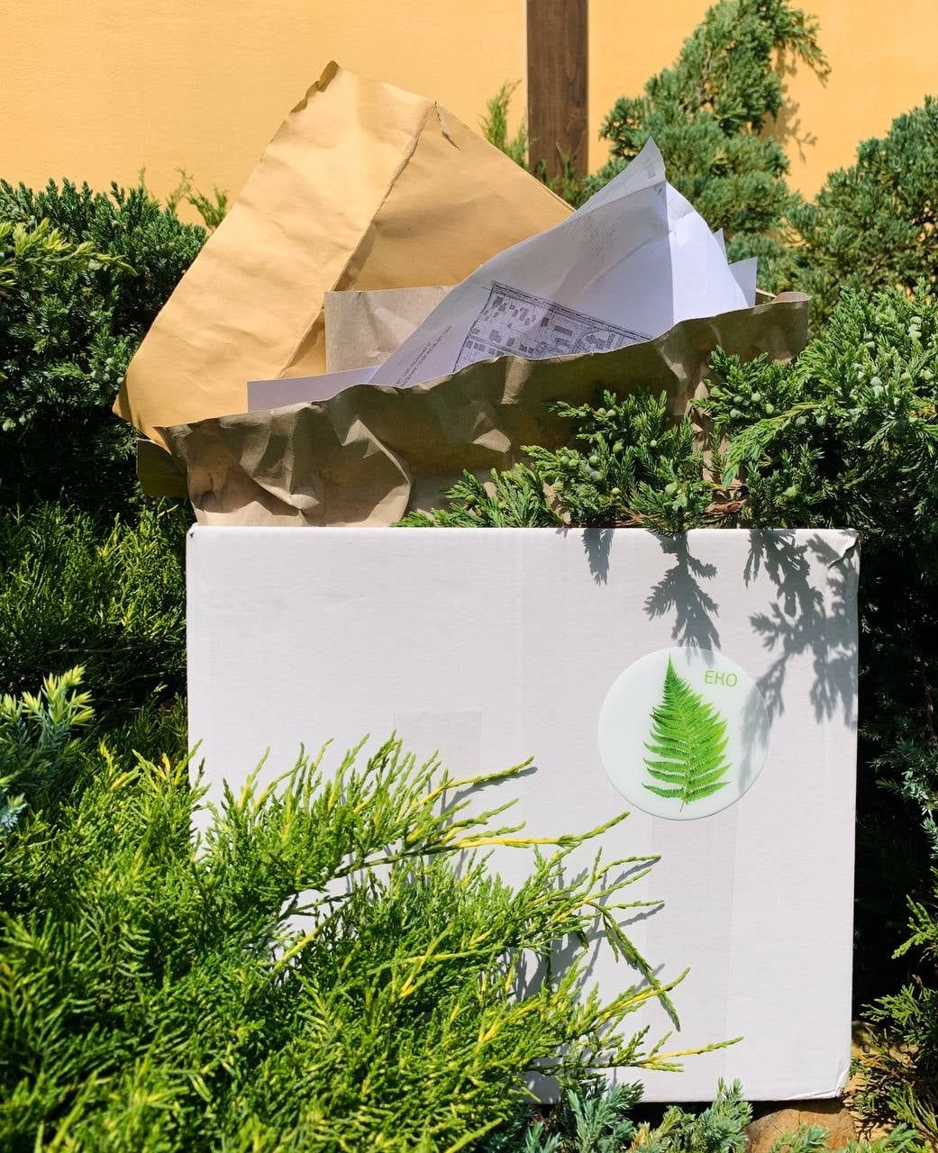 Новини Вінниці - фото з Екосвідомість як спосіб життя. Про діяльність спільноти «Папороть» розповідає Ярослав Мрочко