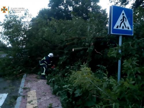 Новини Житомира - фото з У вихідні рятувальники діставали потопельника та зрізали повалені дерева PSX_20210718_113755.jpg