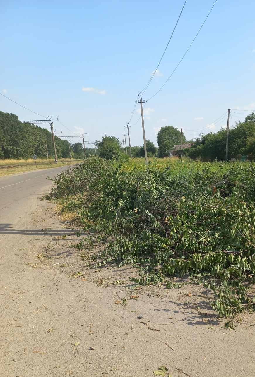 Новини Козятина - фото з Перехрестяться коли прогримить. Зрізали кущі після ДТП