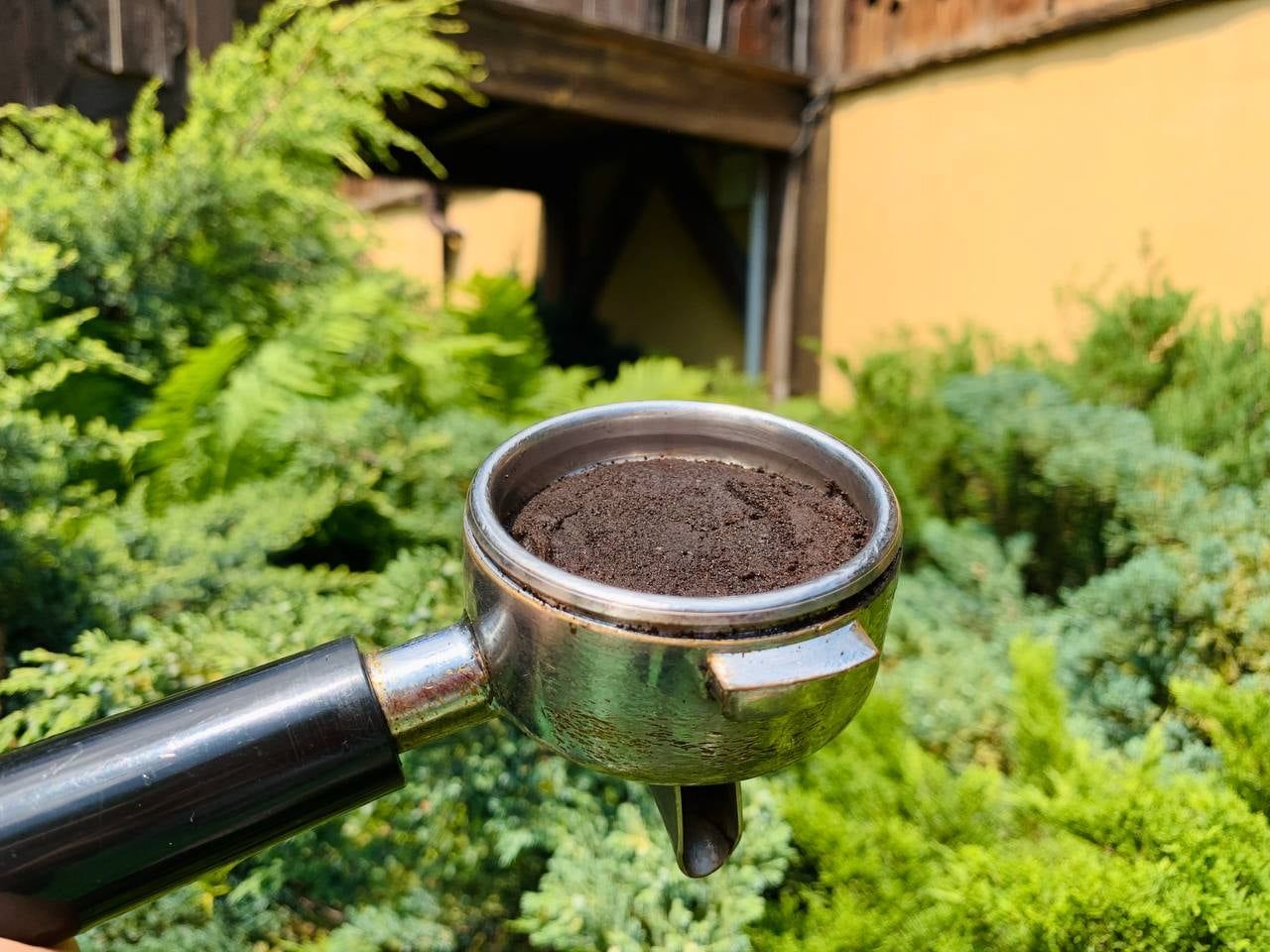 Новини Вінниці - фото з Екосвідомість як спосіб життя. Про діяльність спільноти «Папороть» розповідає Ярослав Мрочко