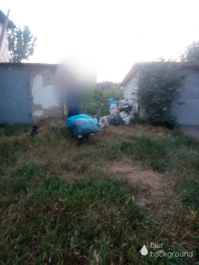 На зображенні може бути: трава та текст «blur background»