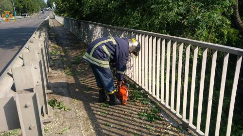 Новини Житомира - фото з У вихідні рятувальники діставали потопельника та зрізали повалені дерева PSX_20210718_113728.jpg