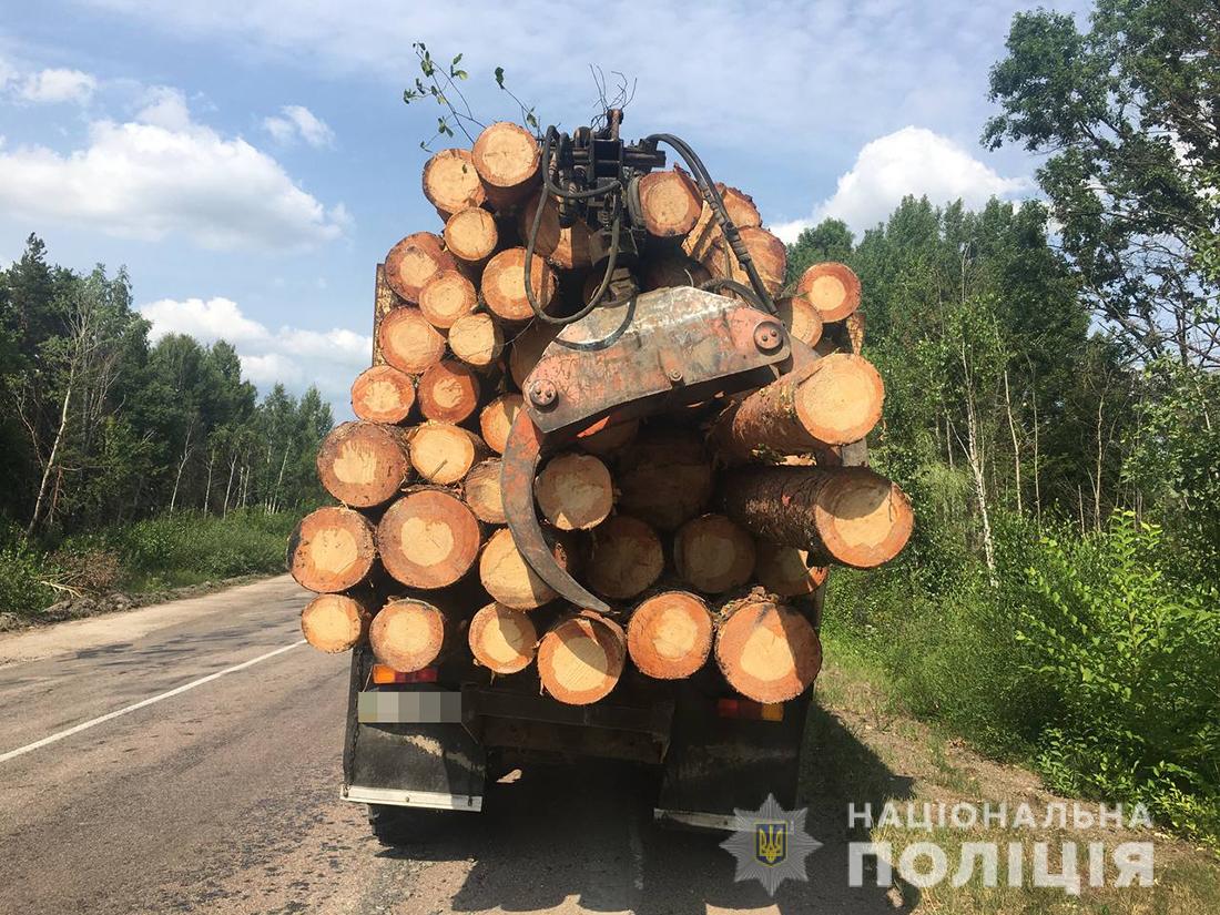 Новини Житомира - фото з На Овруччині затримали ЗІЛ з викраденою з лісництва деревиною