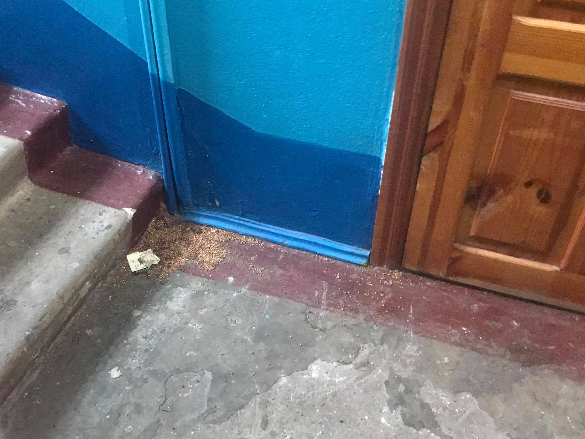 Новини Хмельницького - фото з У квартирі на Зарічанській жінка живе серед сміття. Як сусідам розв'язати проблему Нет описания.