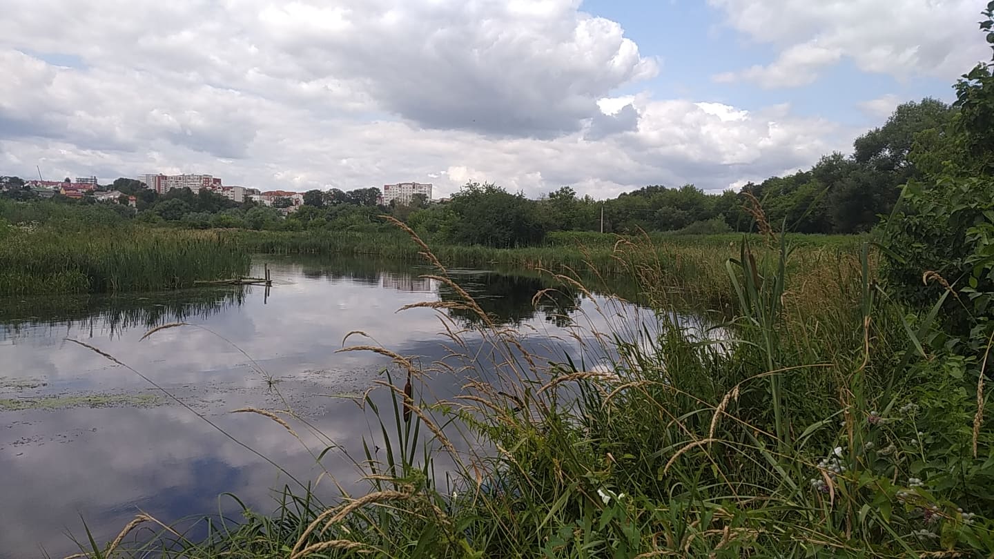 Новини Тернополя - фото з Чорна річка, мертва риба і сморід: біля «райського джерела» прорив каналізації, усі нечистоти у воді Немає опису.