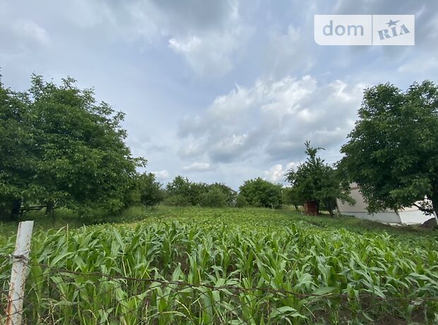 Новини Хмельницького - фото з Ринок землі відкритий: що продають біля Хмельницького та за скільки (ІНФОГРАФІКА)