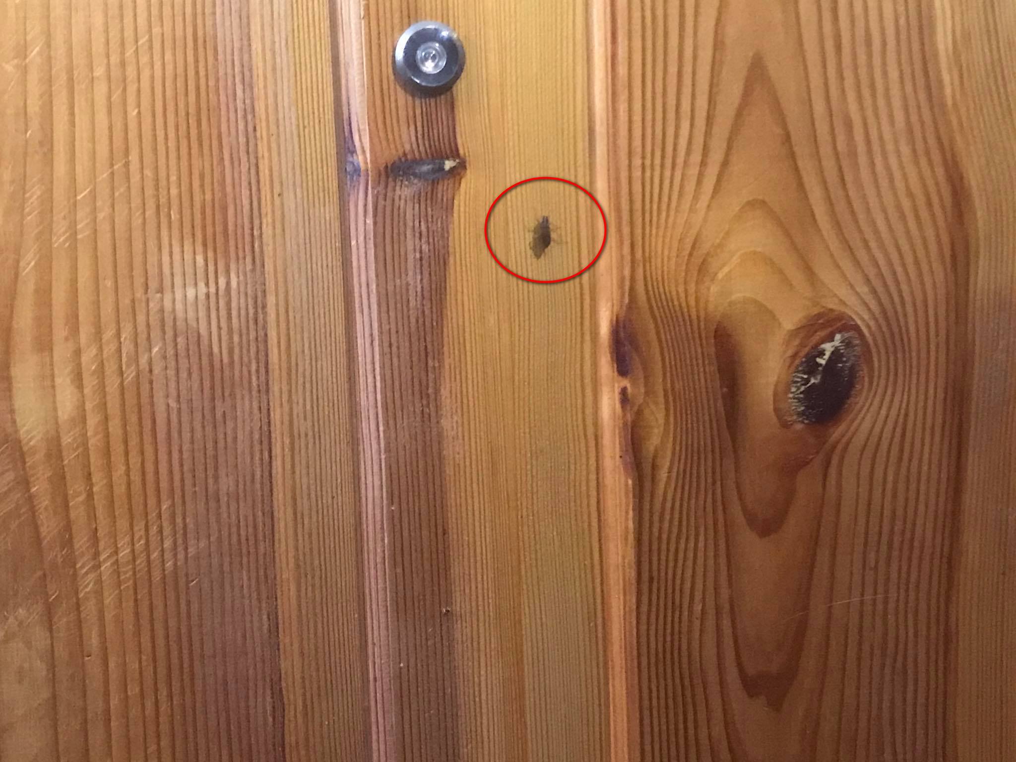 Новини Хмельницького - фото з У квартирі на Зарічанській жінка живе серед сміття. Як сусідам розв'язати проблему